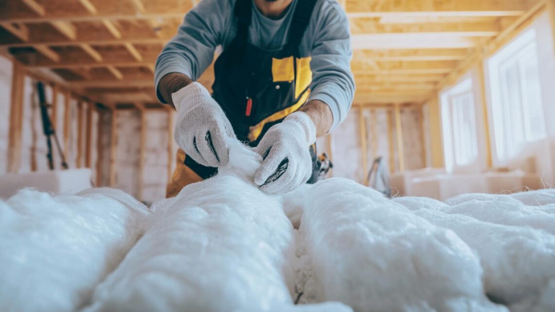 Les avantages d’une conduite professionnelle pour la renovation et l’isolation de votre habitat